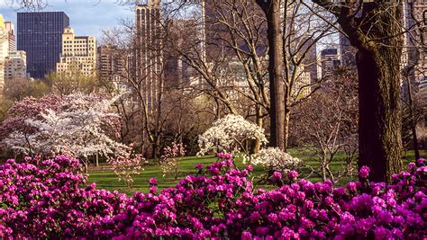 New York City Spring Packages Omni Berkshire Place