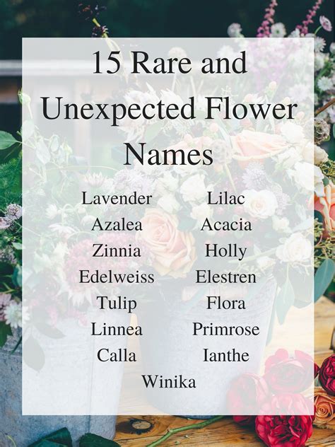Rare And Unexpected Flower Names The York Pack Flower Names Unique