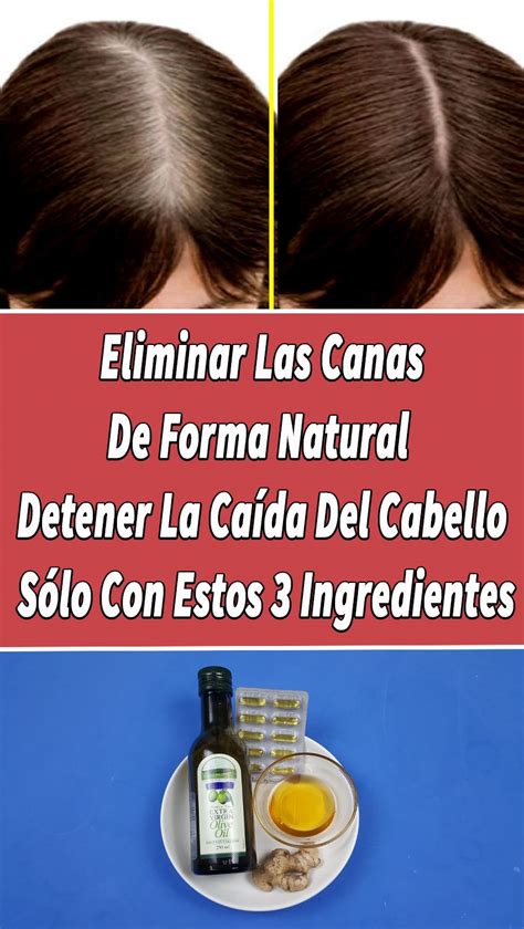 Eliminar Las Canas De Forma Natural Y Detener La Ca Da Del Cabello S Lo