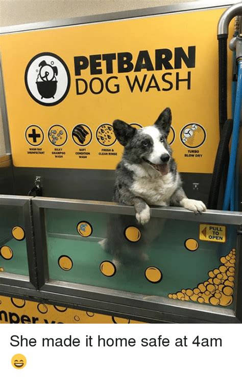 Pamper pets at your dog wash & groom business with these pet grooming faucets! WASH Per PET BARN DOG WASH FRESH& CLEAN RINSE BLOW DRY ...