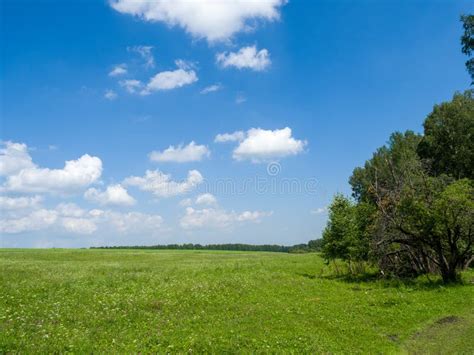 Green Meadows And Fields White Clouds In The Blue Sky Stock Image