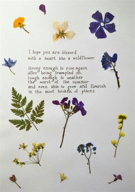 Maybe you would like to learn more about one of these? I hope you are blessed with a heart like a wildflower ...