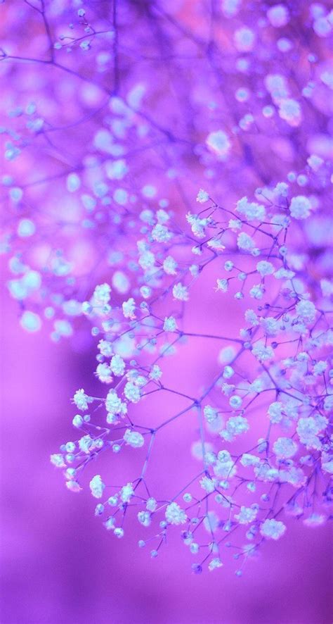 Cute Purple Wallpapers For Iphone Wallpaper Cave