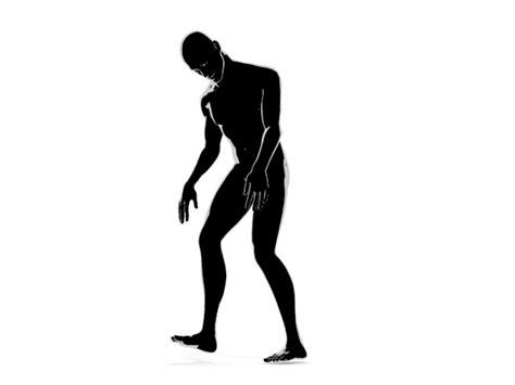 Silhouette Of Human Body At Getdrawings Free Download
