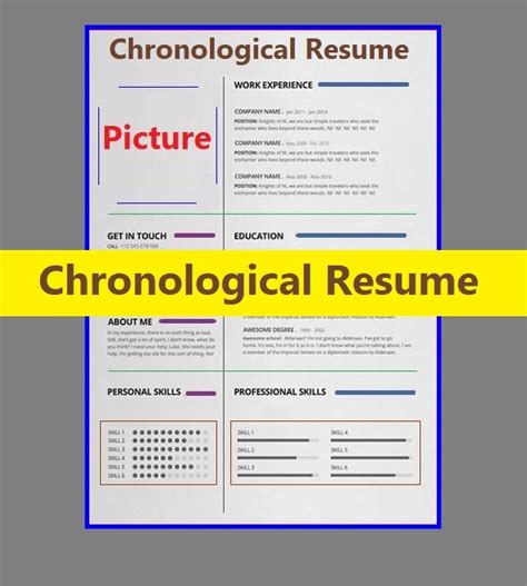 chronological resume template  word templates