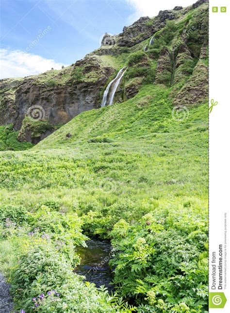 Seljalandsfoss Waterfall In Iceland Stock Photo Image Of Gravity