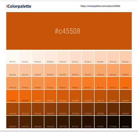 Rust Orange Color C45508 Information Hsl Rgb Pantone