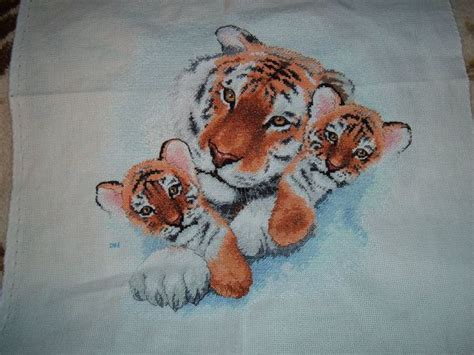 Completed Sunset Siberian Snuggle Tigers Counted Cross Stitch