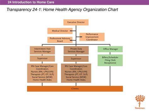 Sample Organizational Chart For Home Health Agency The Document