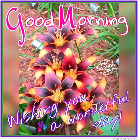 Good Morning - Wishing You A Wonderful Day - SmitCreation.com