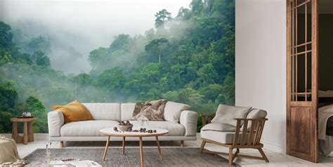 Rainforest Morning Fog Wallpaper Mural Wallsauce Us