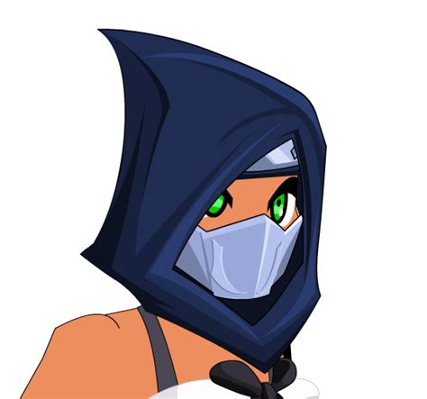 Winter Assassin Hooded Mask Aqw