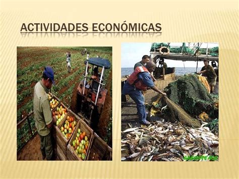 Actividades Económicas Agricultura
