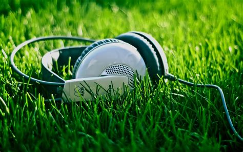 Headphones Music Lover Nature With Music Images Hd 1920x1200