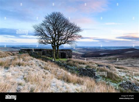 Top Withens Farmhouse Ruin On Scenic Frosty Remote Moors And Colourful