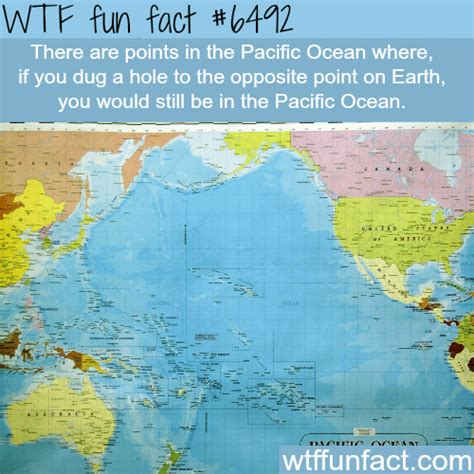 The Pacific Ocean Wtf Fun Facts