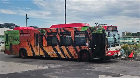 Ttc Bus Ride 1618 86a Scarborough To Toronto Zoo Youtube