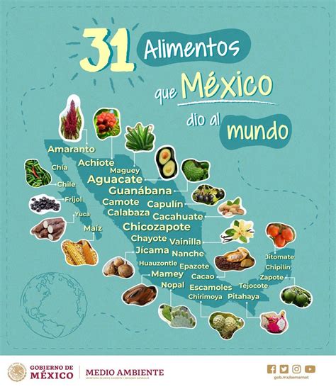 An Illustrated Map Shows The Number Of Different Fruits And Vegetables