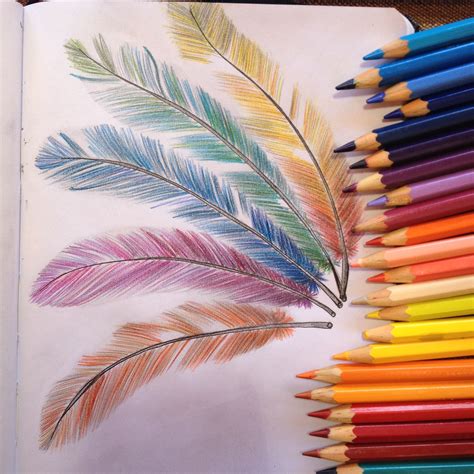Colorful Feathers Colored Pencil Artwork Color Pencil Drawing Colored