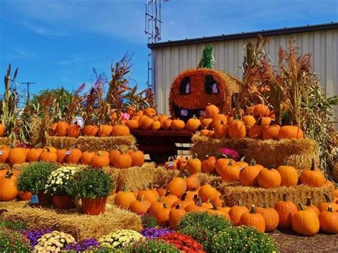 Here are a few of the unique ganesh decoration ideas. 8 Fabulous Fall Harvest Festivals in the US to Enjoy This ...