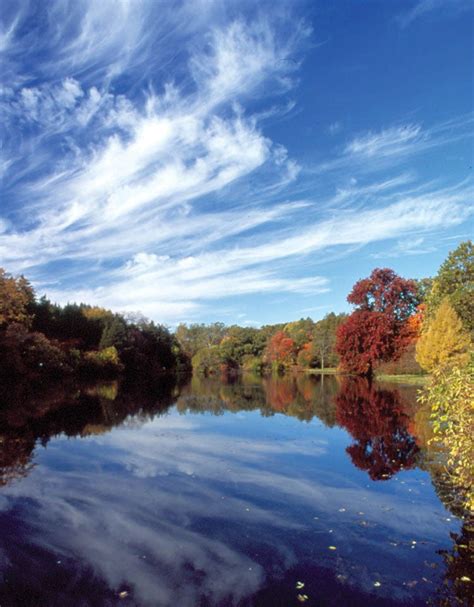 The Morton Arboretum, Chicago: Tickets, Schedule, Seating Charts | Goldstar