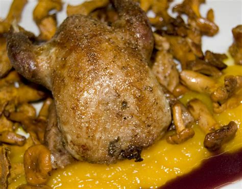 Un demi siècle de recettes Pigeons ramiers compote de potiron à la