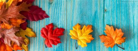 Lovely Natural Autumn Colors Facebook Cover Photo