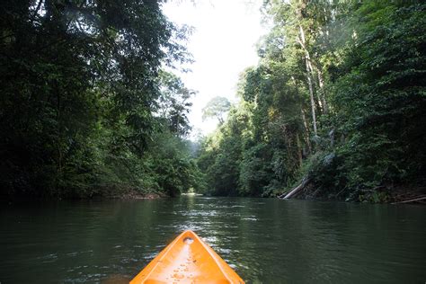 Asia's Top 5 Jungle River Adventure Destinations - Travelogues from Remote Lands