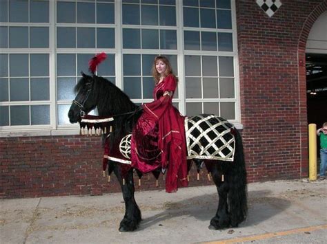 Costumer Comments Horse Costumes Horse Halloween Costumes Medieval