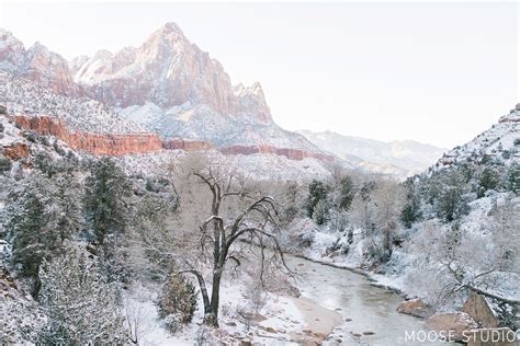 The Best Winter Hikes In Zion National Park Utah