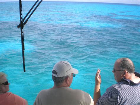 Key Largo Princess Glass Bottom Boat All You Need To Know Before You Go