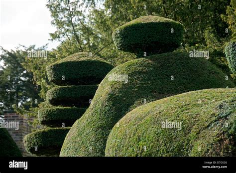 Topiary Hi Res Stock Photography And Images Alamy