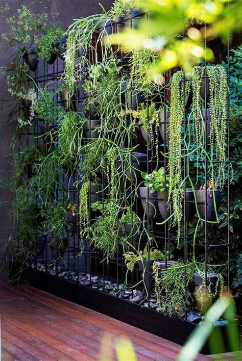 These Stunning City Gardens Have Us Green With Envy Vertical Garden
