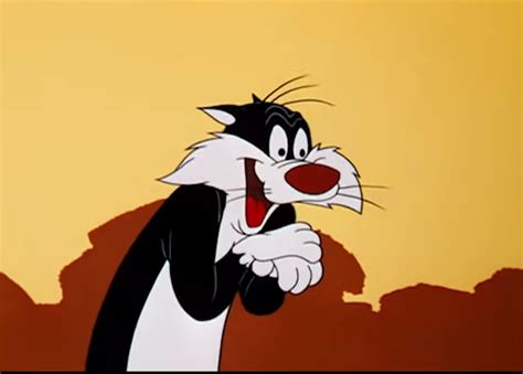 Airtel recharge plans with 1 year validity 2021. A 17-Minute Montage Shows One Second From Every Looney ...