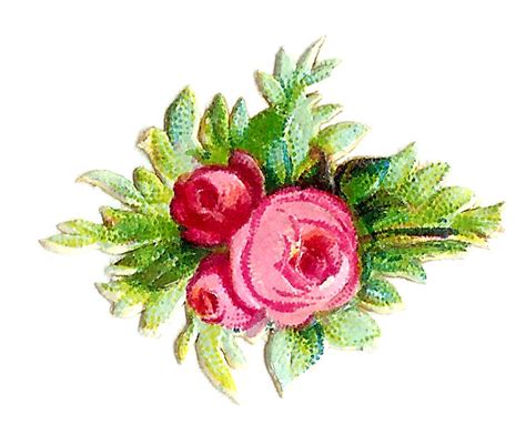 Antique Images Pink Vintage Rose Digital Clip Art Flower Bouquet Graphic