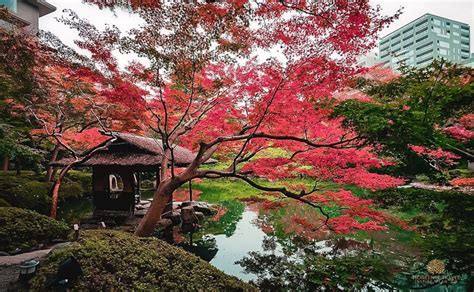 7 Most Gorgeous Japanese Gardens In Tokyo Japan Trave