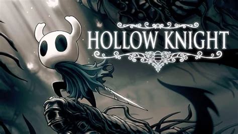 Is Hollow Knight Multiplayer Pro Game Guides