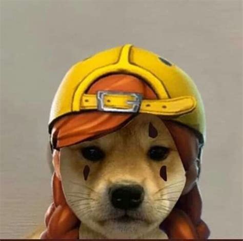 Fortnite Aura Dog Meme Dog Icon Dog Images Dog Tumblr