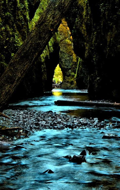 640x960 free hd nature wallpapers hd nature wallpaper for iphone. Wallpaper Hd 1080p Free Download For Mobile Nature | Forex ...