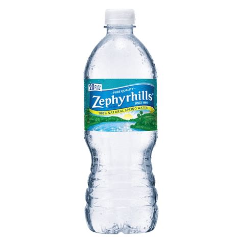 Zephyrhills 28 Pack 20 Fl Oz Spring Water In The Water Department At