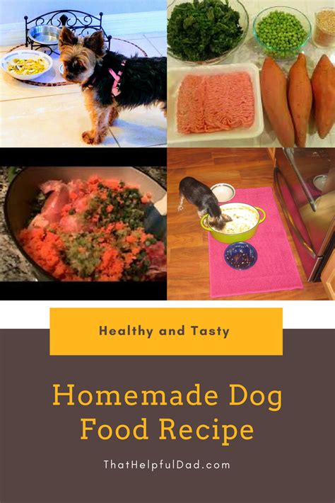 How To Make Homemade Dog Food Recipe And Tips That Helpful Dad