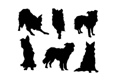 To search on pikpng now. Border-Collie-Vektor 138413 - Download Kostenlos Vector ...