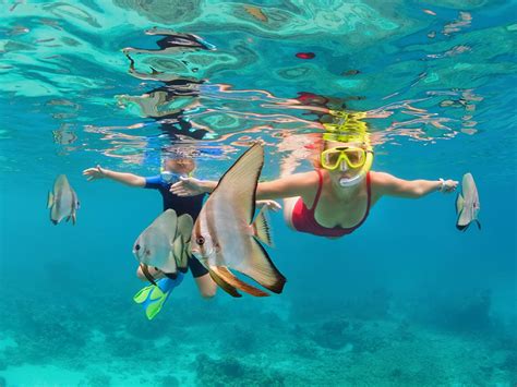 8 Things To Do In The Maldives Scti Nz