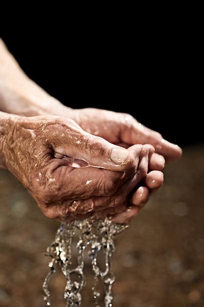 1800 Hands Cupping Water Stock Photos Pictures And Royalty Free Images