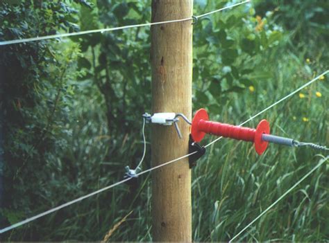 Electrified barbed wire is dangerous. Everything You Need to Know About Electric Fencing ...