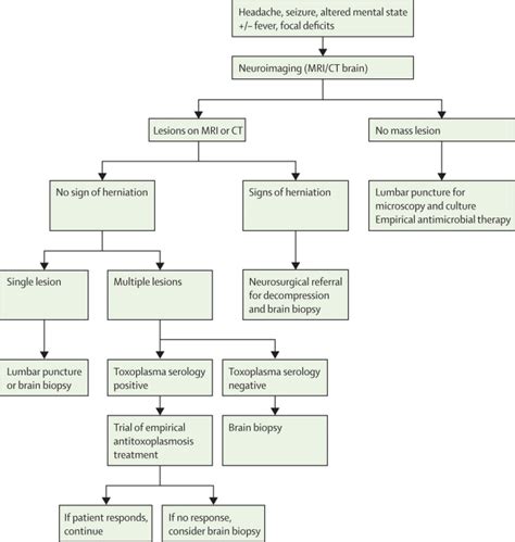 Hiv Associated Opportunistic Infections Of The Cns The Lancet Neurology
