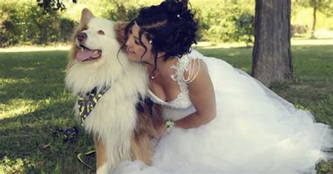Les images d'amour, de cœurs et les photos de couples amoureux apportent de vraies émotions. Vos plus belles photos d'amour avec vos chiens ! | Belles ...
