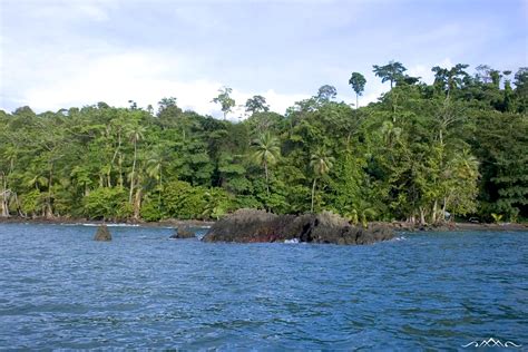 Top 5 National Parks In Costa Rica Pura Aventura Blog