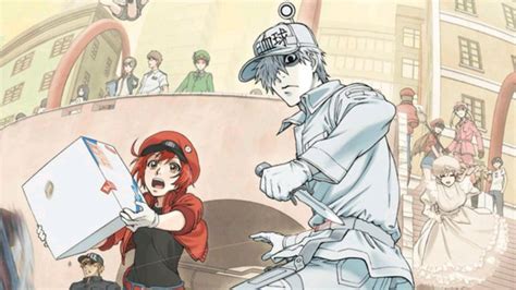 Cells At Work Se Anuncia Una Segunda Temporada Play Reactor