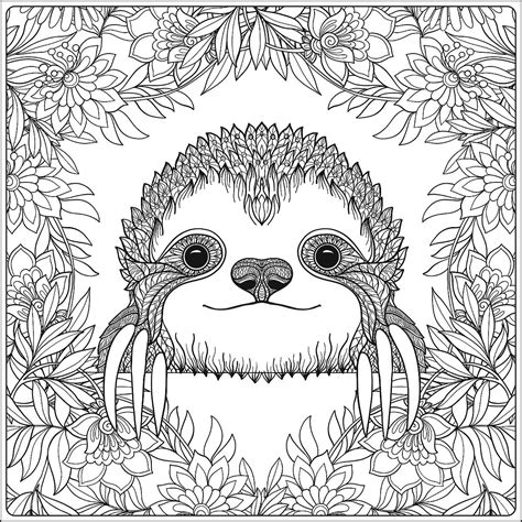 Printable Sloth Coloring Pages Printable World Holiday